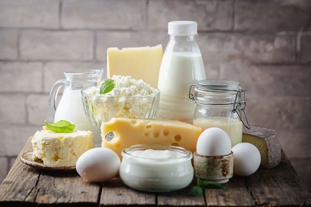 dairies-and-eggs