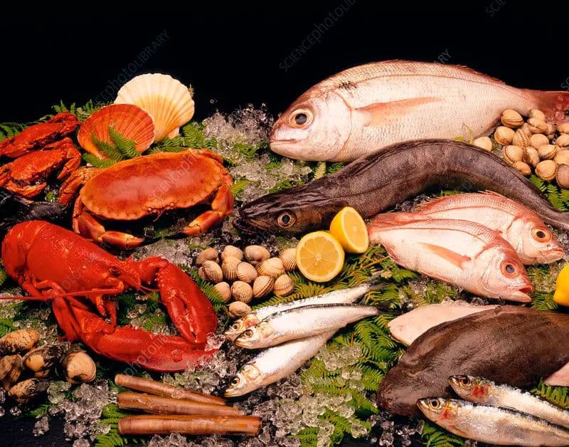 fish-and-seafood