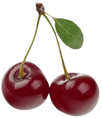 fresh cherry