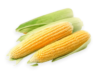 sweet corn