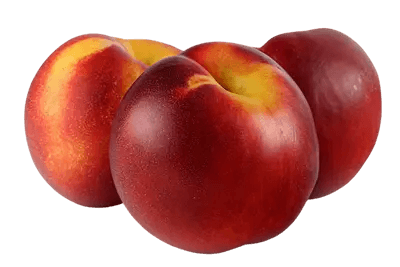 nectarine