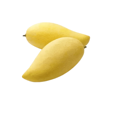 yellow mango