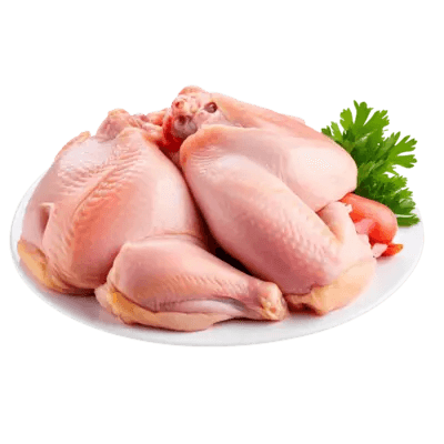 chicken