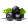 berries