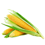 corn