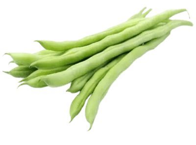 beans