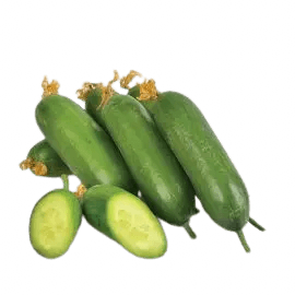 cucumber