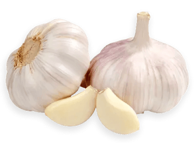 garlic
